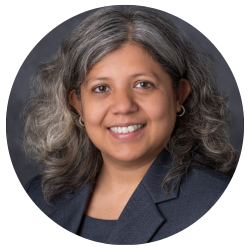 Deyali_Chatterjee_NANETS.png